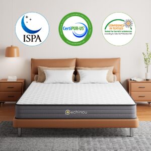 Twin Mattress, 6 Inch Twin Mattress in a Box, Superior Hybrid Mattress with Gel Memory Foam or Back & Lumbar Support, 100 Night Trial, Soft, Pressure Relief, Zoned Support spring, Medium Firm