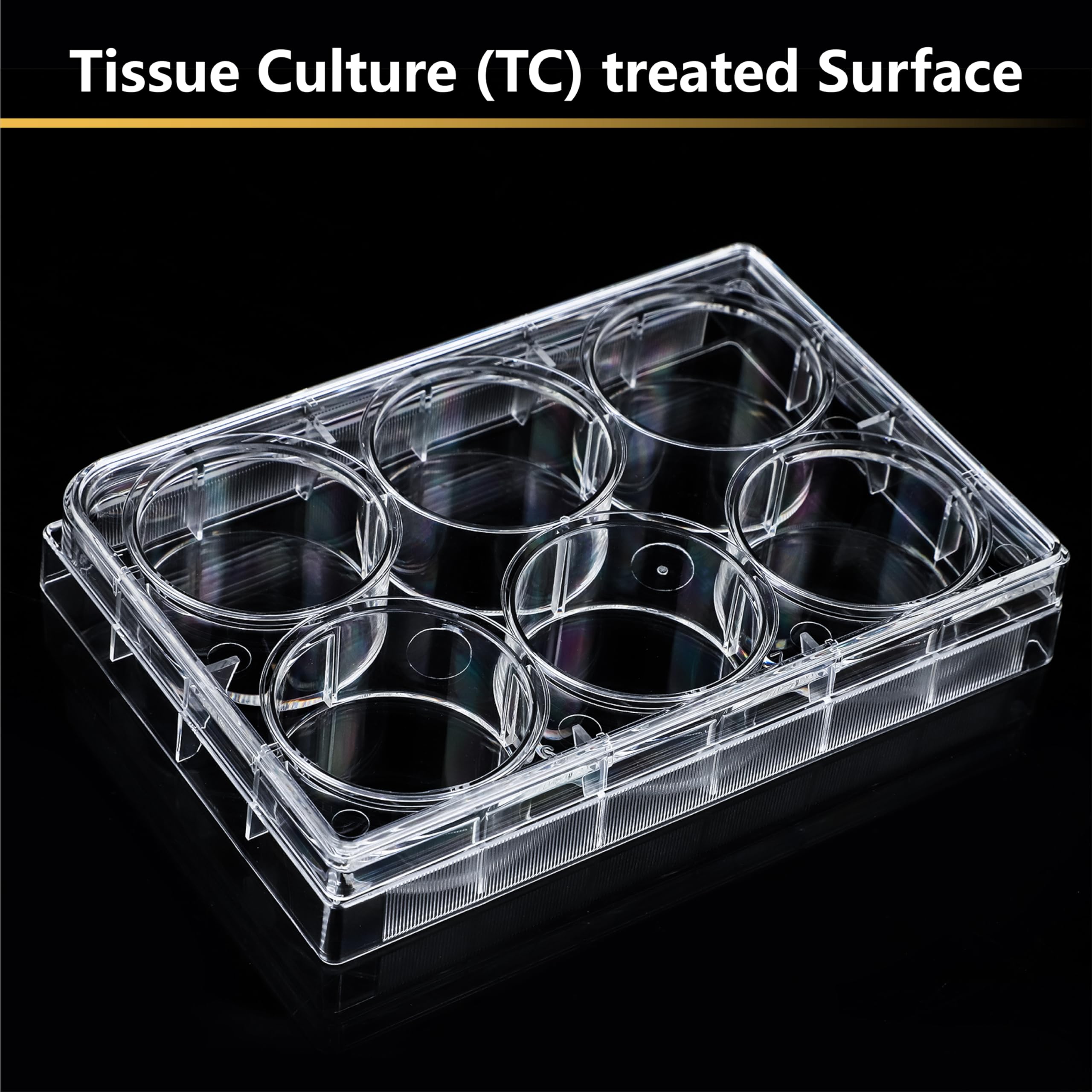 4E's USA 6 Well Cell Culture Plate with Lid, Tissue Culture Treated Plate, Sterile, Individual Packing, Pack of 5 Plates