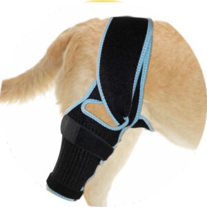 Dog Knee Brace (SMALL) Dog Knee Brace for Torn ACL Hind Leg - Dog Knee Brace Promotes Faster Recovery - Extra Supportive Dog Leg Brace with 10x Stabilizers & Longer Straps for an Anti-Slip Comfort Fit