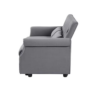 Modern Convertible Loveseat Sofa W/Pull Out Sleeper Couch Bed,2 Seater Sofa & Couch W/ Adjustable Backrest,Tufted Daybed for Home Apartment Office Living Room Velvet Twin 2 Pillows Nailhead Decor