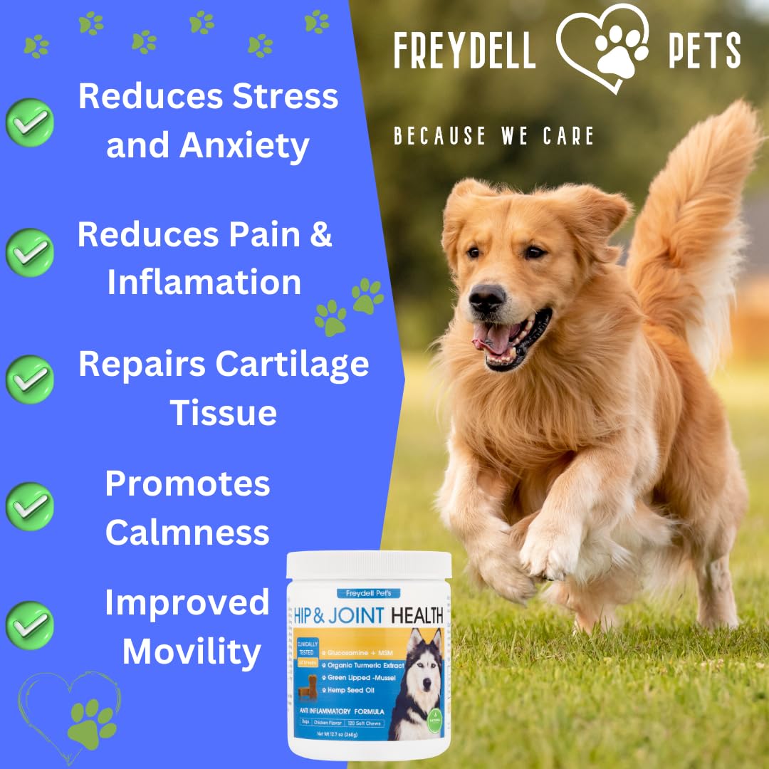 Freydell Pet's Dog Hip and Joint Chews for Large Breeds - Glucosamine, Hemp Seed Oil, Organic Turmeric Extract & Chondroitin Chews - Dog Joint Supplements & Vitamin C for Dogs - Extended Joint Care