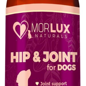 Morlux Naturals Liquid Glucosamine for Dogs, Hip & Joint Supplement w/MSM, Chondroitin, Omega 3, Hyaluronic Acid, All Breeds Green-Lipped Mussel for Improved Flexibility & Mobility, Made in USA, 16 Oz