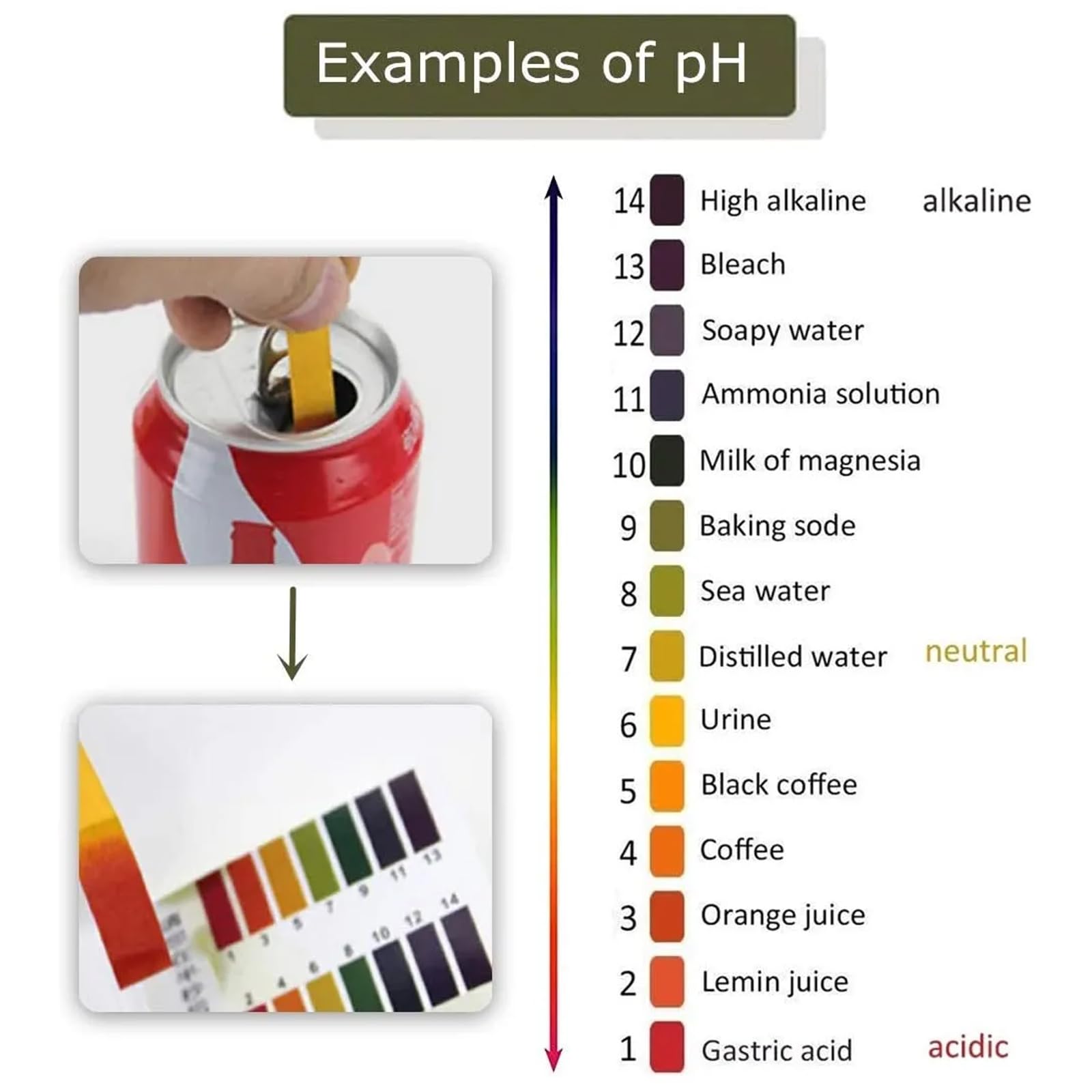 10 Pack PH Test Strips Set 800Pcs, pH 1-14 Litmus Paper pH Indicator Strips, Acid Alkali Test Paper for Teaching, Student, Chemistry Experiment, Saliva Urine Water Soil & Diet pH Monitoring