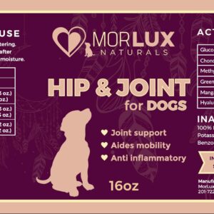 Morlux Naturals Liquid Glucosamine for Dogs, Hip & Joint Supplement w/MSM, Chondroitin, Omega 3, Hyaluronic Acid, All Breeds Green-Lipped Mussel for Improved Flexibility & Mobility, Made in USA, 16 Oz