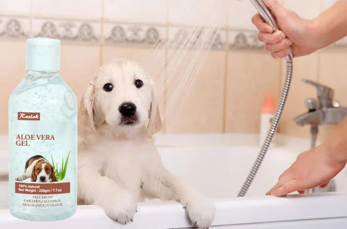 Raslok Aloe Vera Gel for Dog (Canine) 100% Natural, Hydrating Skin & Coat Care – Free from Paraben, Alcohol, Fragrance & Color – 220gm (7.7oz)