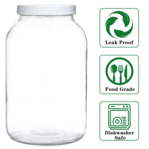 Galssmagic 1 Gallon Glass Jar with Lids,2 Pack Super Wide Mouth Mason Jars 128 oz,Glass Large Mason Jars for Food Storage Container