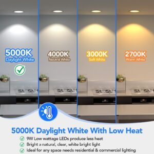 Maylaywood BR30 LED Light Bulbs Indoor Flood Light, 90W Equivalent, Dimmable, Daylight White 5000K, 950LM, E26 Base, 9W LED Recessed Can Bulb, 6-Pack