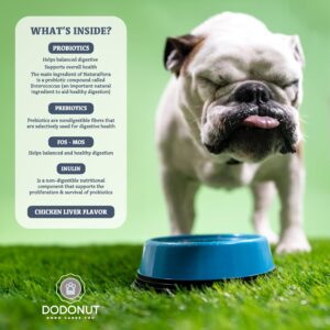 Dodonut NaturaFlora Prebiotic&Probiotic Supplement for Dogs, Digestion and Immunity Health Support, 60 Chewable Count