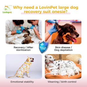 LovinPet Dog Surgery Recovery Suit - Professional Large Dog Recovery Suit Abdominal Wound Surgical Clothes Post-Operative Vest E-Collar Alternative Recovery,Giraffe,Yellow,L