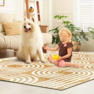 CARMIO Area Rug 8x10, Machine Washable Rugs Soft Living Room Rugs Arch Pattern Knot Modern Print Area Rug Non Slip Indoor Floor Carpet for Bedroom Nursery Kitchen, Coffee