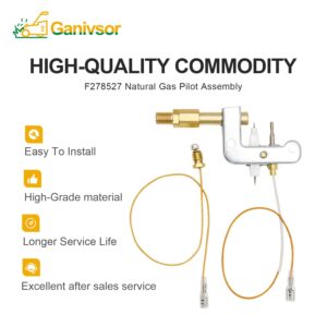 Ganivsor F278527 Pilot Assembly Portable ODS for Mr.Heater Big Buddy MH18B MH9B MH9BX and Dewalt Small Propane Heater Parts - 78422 Space Heater Pilot