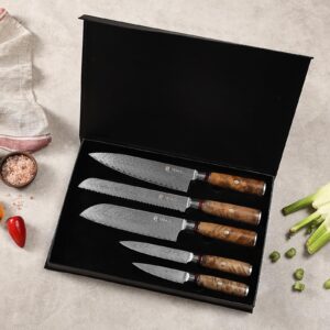 Wakoli Knife Block Sets, 5 Pieces Chef Knife Set with Block - Damascus Kitchen Knife Set with Magnetic Knife Block, Professional Kitchen Knife Block Set with Sycamore Wood Handles (Culinary Sycamore)