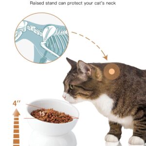 ABRUTY Cat Water Bowl, 16 OZ Ceramic Elevated Cat Dish, 15° Tilted and Raised Pet Food Bowl, Anti Vomiting Protect Pets' Spines and Whisker Fatigue