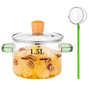 1.5l/51oz glass pot glass soup ladle set glass cooking pot glass pots for cooking on stove simmer pot oven gas safe (green handle glass pot, glass spoon)