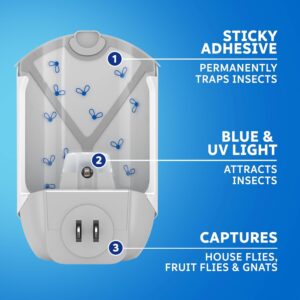 2-Packs Zevo Home Indoor Plug-in Fly Trap for Flies, Fruit Flies, Moths, Gnats, and Other Flying Insects – 2 Plug-in Bases + 2 Refill Cartridges and 3 Fruit Flys Traps in The tituaa Box