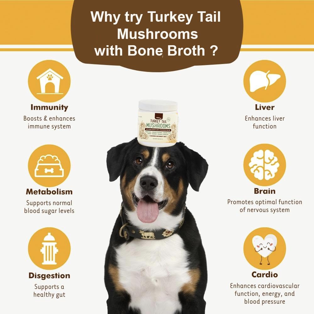 iHeartDogs Turkey Tail Mushroom for Dogs with Bone Broth and 6 Mushroom Blend Powder - Mushroom Supplement for Dogs