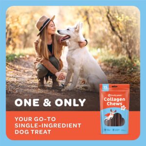 Trusty Paws Beef Collagen Sticks for Dogs - One Ingredient Collagen Chews - USA Beef Collagen Dog Chews Long Lasting - 10oz Bag, 15 Collagen Chew Sticks for Dogs