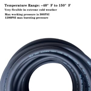 Air Hose 3/8 in x 10 ft, Heavy Duty, Lightweight, Kink Resistant, Hybrid Air Compressor Hose with 1/4 in Solid Brass Male Fittings, Bend Restrictors, 300 PSI (10FT, Black)