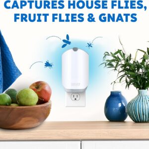 2-Packs Zevo Home Indoor Plug-in Fly Trap for Flies, Fruit Flies, Moths, Gnats, and Other Flying Insects – 2 Plug-in Bases + 2 Refill Cartridges and 3 Fruit Flys Traps in The tituaa Box