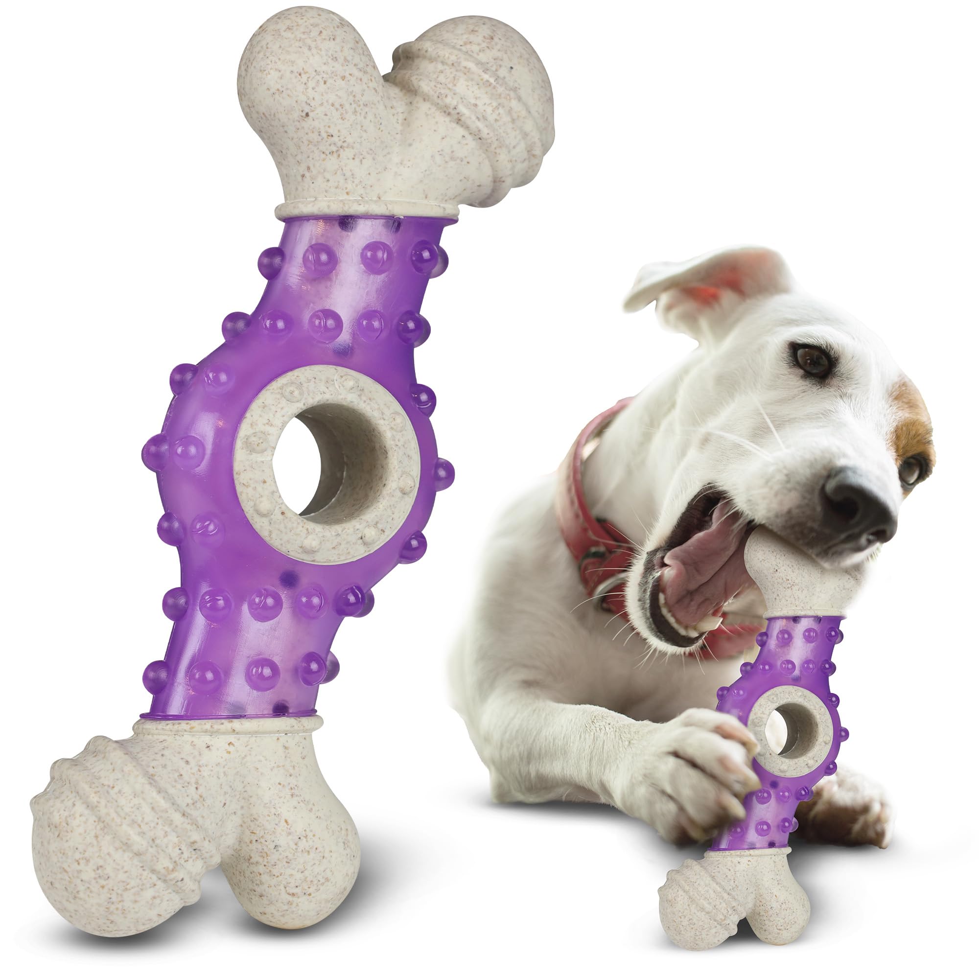 AXIOM CREATIONS Interactive Dog Toy for Small Breeds - 6x2” Bone Shaped Puppy Chew Toys for Teething - Pet Safe Wheat Straw Fiber Material with Treat Holder (Purple)