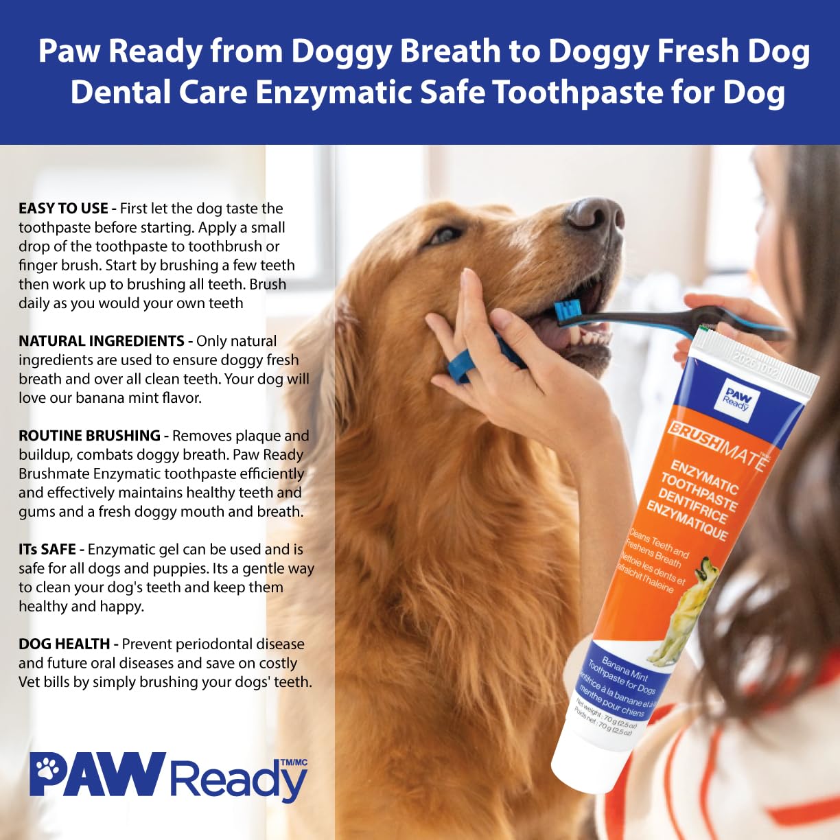 Paw Ready from Doggy Breath to Doggy Fresh Dog Dental Care Enzymatic Toothpaste for Dogs | Cleans Teeth and Freshens Breath | Safe for Puppies, Clinical Care, Banana Mint Flavor - 1 Pack 70g (2.5 oz)