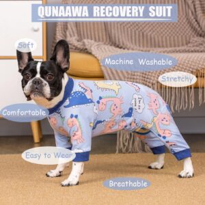 Qunaawa Dog Recovery Suit for Surgery Small Medium Dogs Onesie, Cute Soft Dog Pajamas Bodysuit Cone Alternative Prevent Licking Dog Recovery Suit Female Male (Small, Dinosaur Blue)