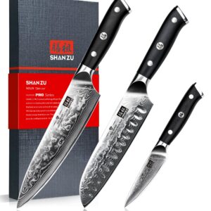 SHAN ZU Damascus Knife Set 3 PCS, Japanese Super Steel Damascus Kitchen Knife Set, High Carbon Professional Ultra-Sharp Chef Knife Set with G10 Handle, Gift Box