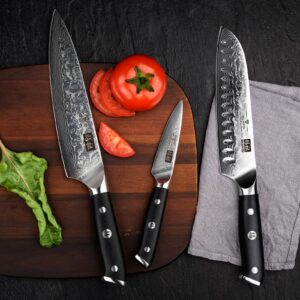 SHAN ZU Damascus Knife Set 3 PCS, Japanese Super Steel Damascus Kitchen Knife Set, High Carbon Professional Ultra-Sharp Chef Knife Set with G10 Handle, Gift Box