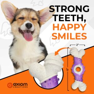 AXIOM CREATIONS Interactive Dog Toy for Small Breeds - 6x2” Bone Shaped Puppy Chew Toys for Teething - Pet Safe Wheat Straw Fiber Material with Treat Holder (Purple)