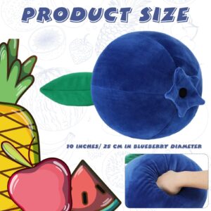 Beeveer Christmas Decorative Gift Blueberry Plush Cute Fruit Plush Pillow Kawaii Hugging Plushies Soft Novelty Cushion Seat Xmas Decor for Kids Girl