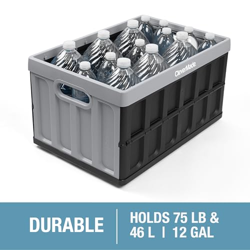 CleverMade Collapsible Storage Bin (No Lid), Ocean, 3PK - 46L (12 Gal) Folding Plastic Stackable Utility Crates, Holds 75lbs Per Bin - Solid Wall CleverCrates for Organizing, Storage, Moving