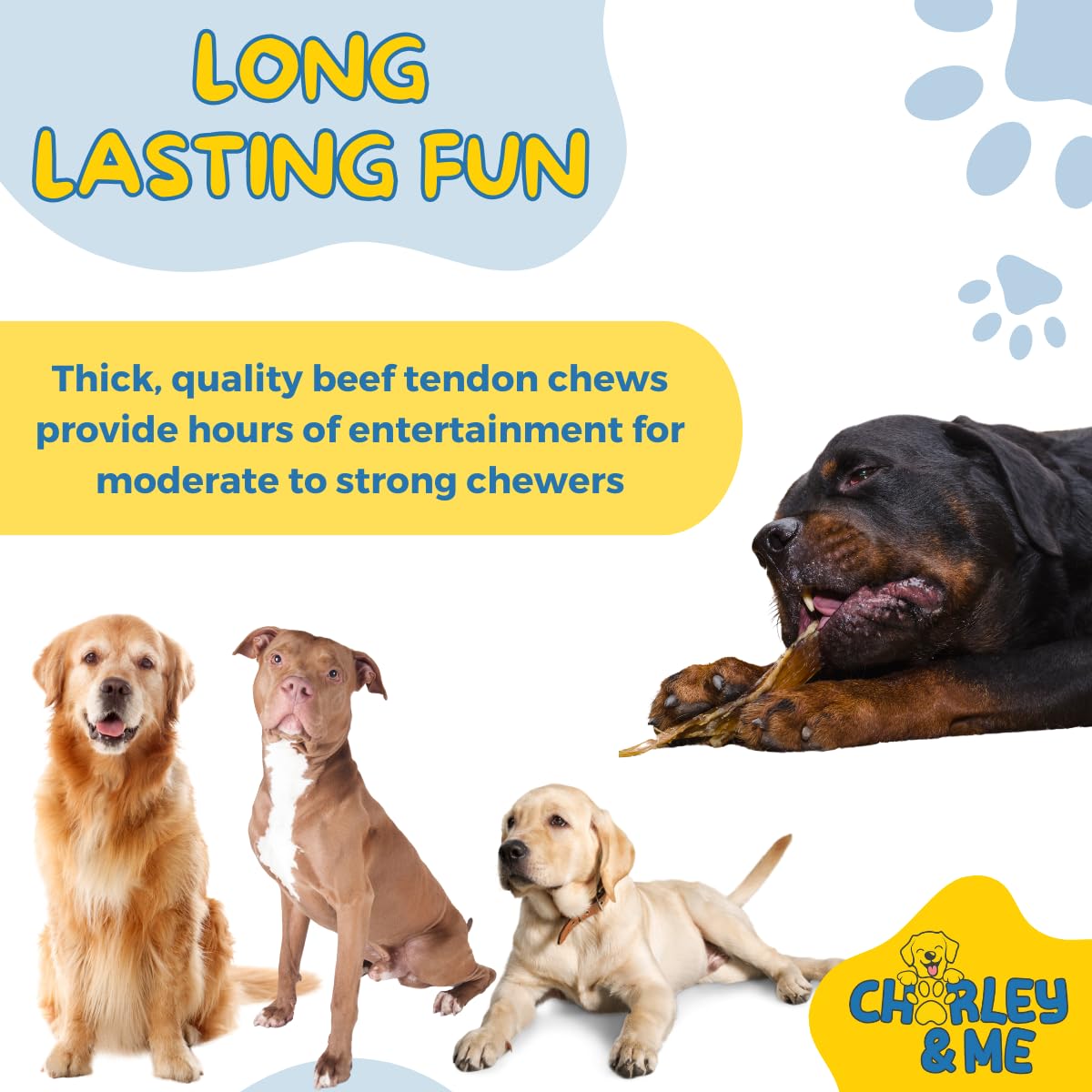 CHARLEY & ME Beef Tendons for Dogs, 100% Natural Beef Puppy Treats, Long-Lasting Dog Chew Toy for Aggressive Chewers - Nutritious Joint Support for Dogs - 6 Inches (Pack of 10)