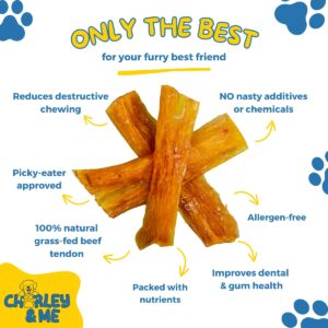 CHARLEY & ME Beef Tendons for Dogs, 100% Natural Beef Puppy Treats, Long-Lasting Dog Chew Toy for Aggressive Chewers - Nutritious Joint Support for Dogs - 6 Inches (Pack of 10)