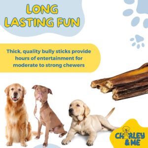 CHARLEY & ME Premium Bully Sticks for Dogs - 100% Natural Beef Dog Treats, Long-Lasting Dog Chew for Aggressive Chewers, Nutritious Joint Support for Dogs 6 Inches (Pack of 25)