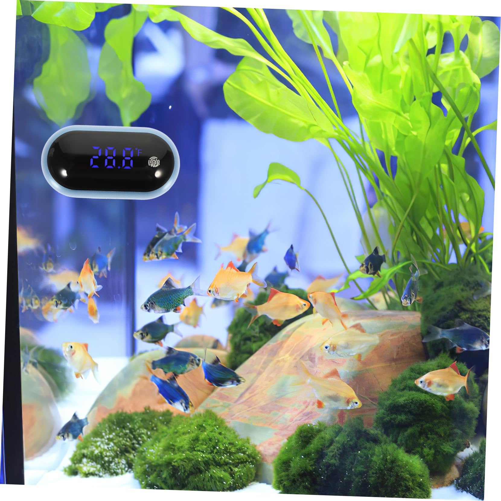 5pcs Fish Tank Thermometer Aquarium Thermometer Portable Digital Thermometer Household Digital Thermometer Electric Thermometer Water Tank Thermometer Fish Tank Supply