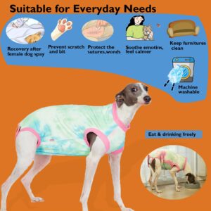 Wabdhally Dog Surgery Recovery Suit,Surgical Suit for Large Female Spay,Soft Combed Cotton,Tie Dye Pink Zipper Onesie XXL