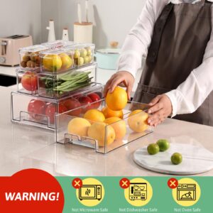 damynuo 14Pack Fridge Organizer Bins, Clear Refrigerator Organizing Containers with Lids and Refrigerator Drawers, Stackable Food, Vegetable and Fruit Containers for Fridge Organizers and Storage