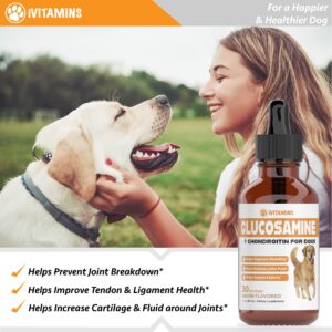 Glucosamine for Dogs | Supports Healthy Hips, Joints, & More | Glucosamine for Dogs Hip and Joint Supplement | Dog Glucosamine | Dog Joint Supplement | Glucosamine Chondroitin for Dogs | 1 fl oz