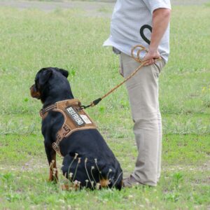 Beebiepet Heavy Duty Tactical Dog Harness for Large Dogs, No Pull Adjustable Pet Harness Reflective Service Training Easy Control Pet Vest Military K9 Working Dog Harnesses- Large, Brown