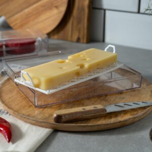 Pikanty American Sliced Cheese Holder | Airtight Storage Container for Fridge | Hinged Lid | Dishwasher Safe | Holds 24 Slices | Made in USA