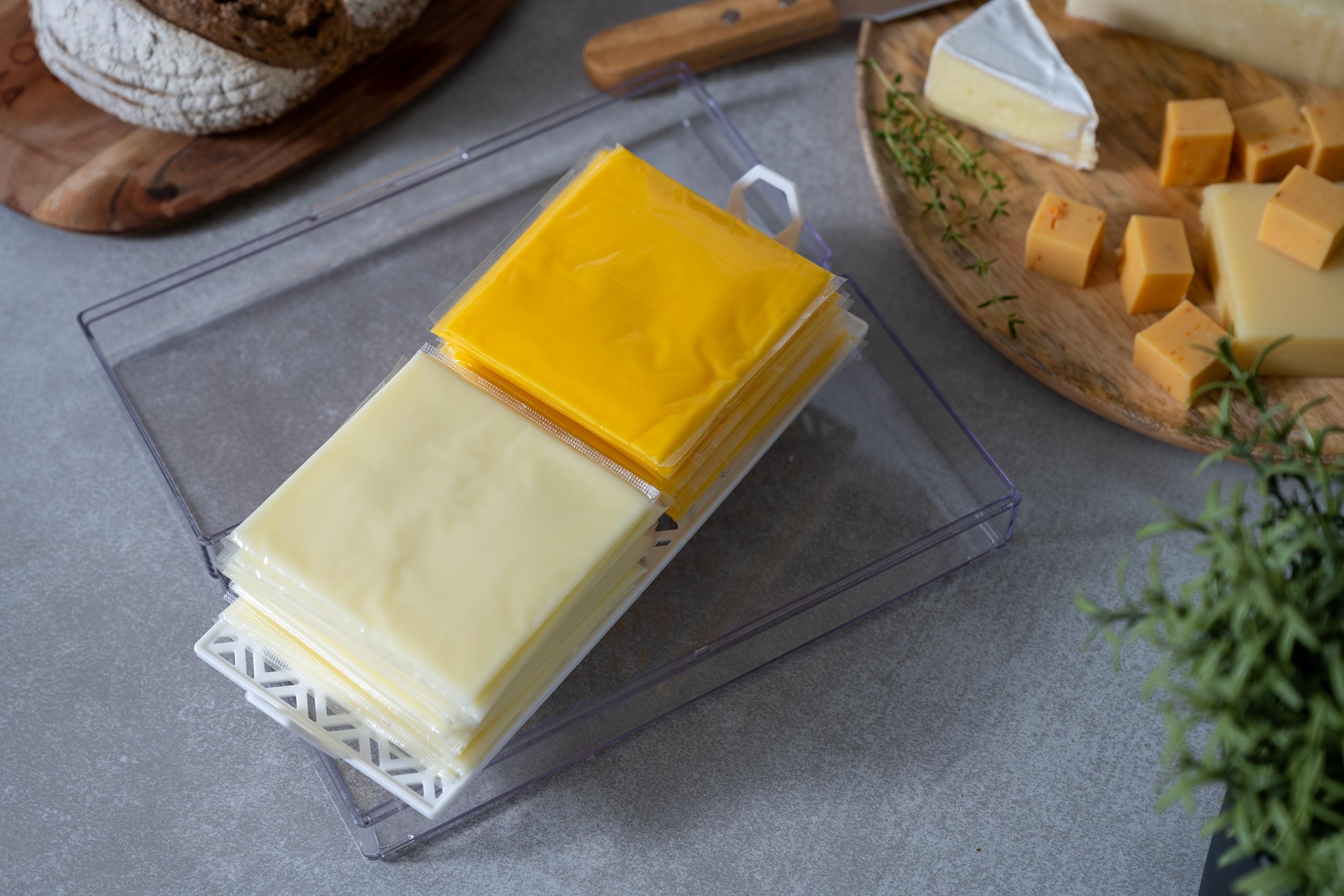 Pikanty American Sliced Cheese Holder | Airtight Storage Container for Fridge | Hinged Lid | Dishwasher Safe | Holds 24 Slices | Made in USA