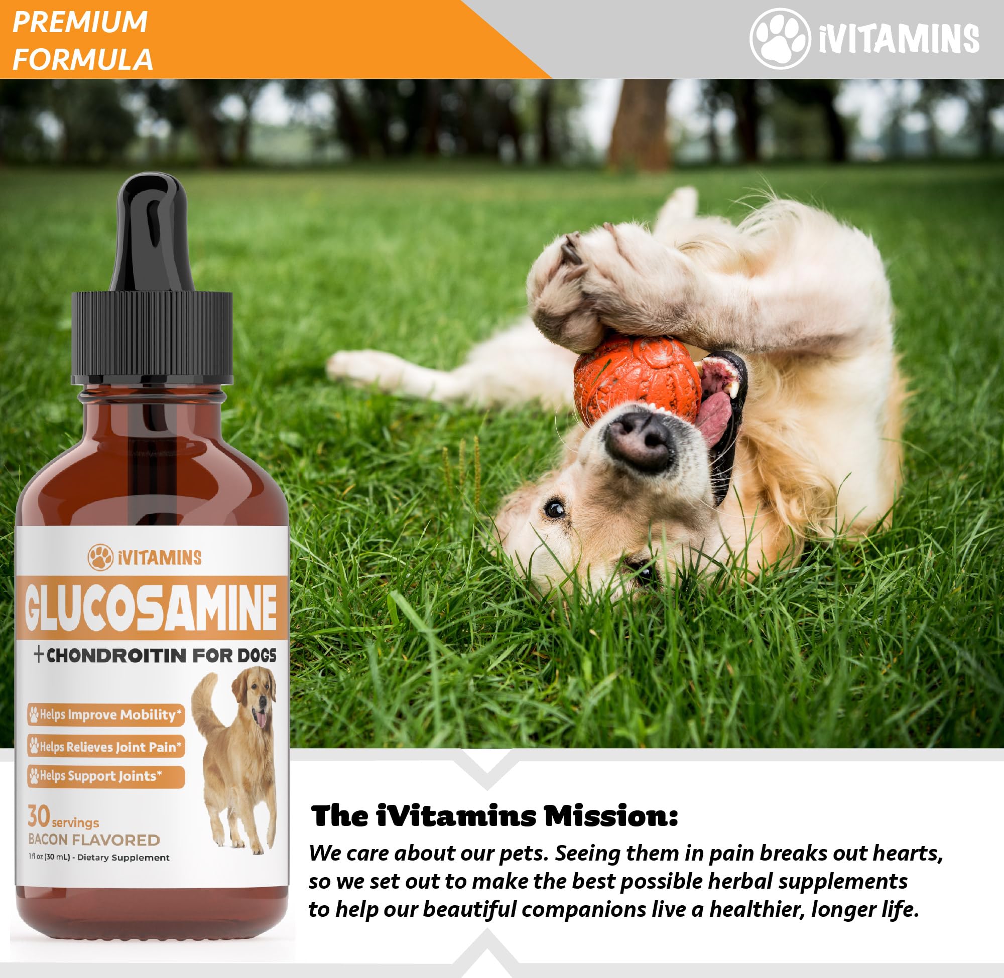 Glucosamine for Dogs | Supports Healthy Hips, Joints, & More | Glucosamine for Dogs Hip and Joint Supplement | Dog Glucosamine | Dog Joint Supplement | Glucosamine Chondroitin for Dogs | 1 fl oz