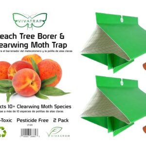 VivaTrap VT-105 Peach Tree Borer + Clearwing Moth Trap & Lure (2 Pack, 8 Week)