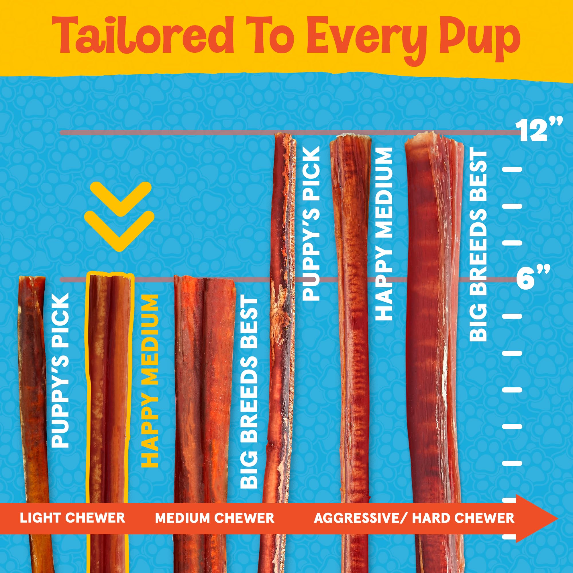 FETCHERONI Jumbo Bully Sticks for Dogs - 100% Beef, Rich Flavor - A Thick, Easily digestible Stick for Your Large Dog and Aggressive chewers -Dog Bully Sticks for Large Dogs (12 Inch, 5 Pack)