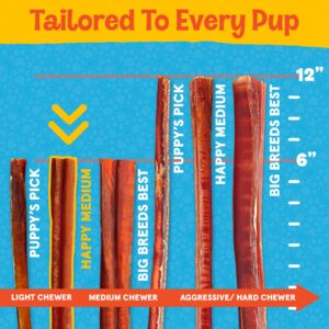 FETCHERONI Thin Bully Sticks for Dogs - Premium Single Ingredient Dog Treats for Small Dogs and Teething Puppies- Great Flavor - Beef Bully Sticks for Small Dogs, Puppy chew Sticks (12 Inch, 10 Pack)