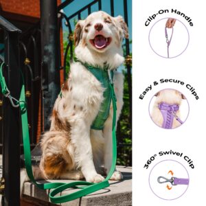 Dog Harness and Leash Set | BearBone No Pull Dog Harness and Waterproof Dog Collar and Leash Set | Heavy Duty Dog Harness, Leash and Collar | Medium Dog Harness, Leash and Collar (Lilac, Medium)