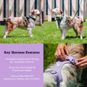 Dog Harness and Leash Set | BearBone No Pull Dog Harness and Waterproof Dog Collar and Leash Set | Heavy Duty Dog Harness, Leash and Collar | Medium Dog Harness, Leash and Collar (Lilac, Medium)