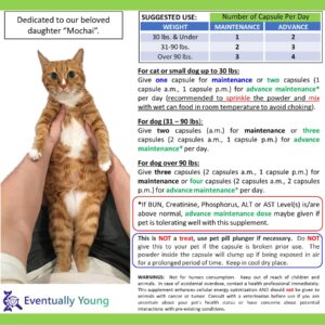 Eventually Young 12-in-1 Kidney Support for Dog & Cat with NMN & Fisetin - Super Phosphate Binder Kidney and Liver Supplement for Feline, Canine Healthy Aging & Longevity (30 Capsules)