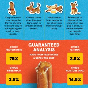 FETCHERONI Jumbo Bully Sticks for Dogs - 100% Beef, Rich Flavor - A Thick, Easily digestible Stick for Your Large Dog and Aggressive chewers -Dog Bully Sticks for Large Dogs (12 Inch, 5 Pack)