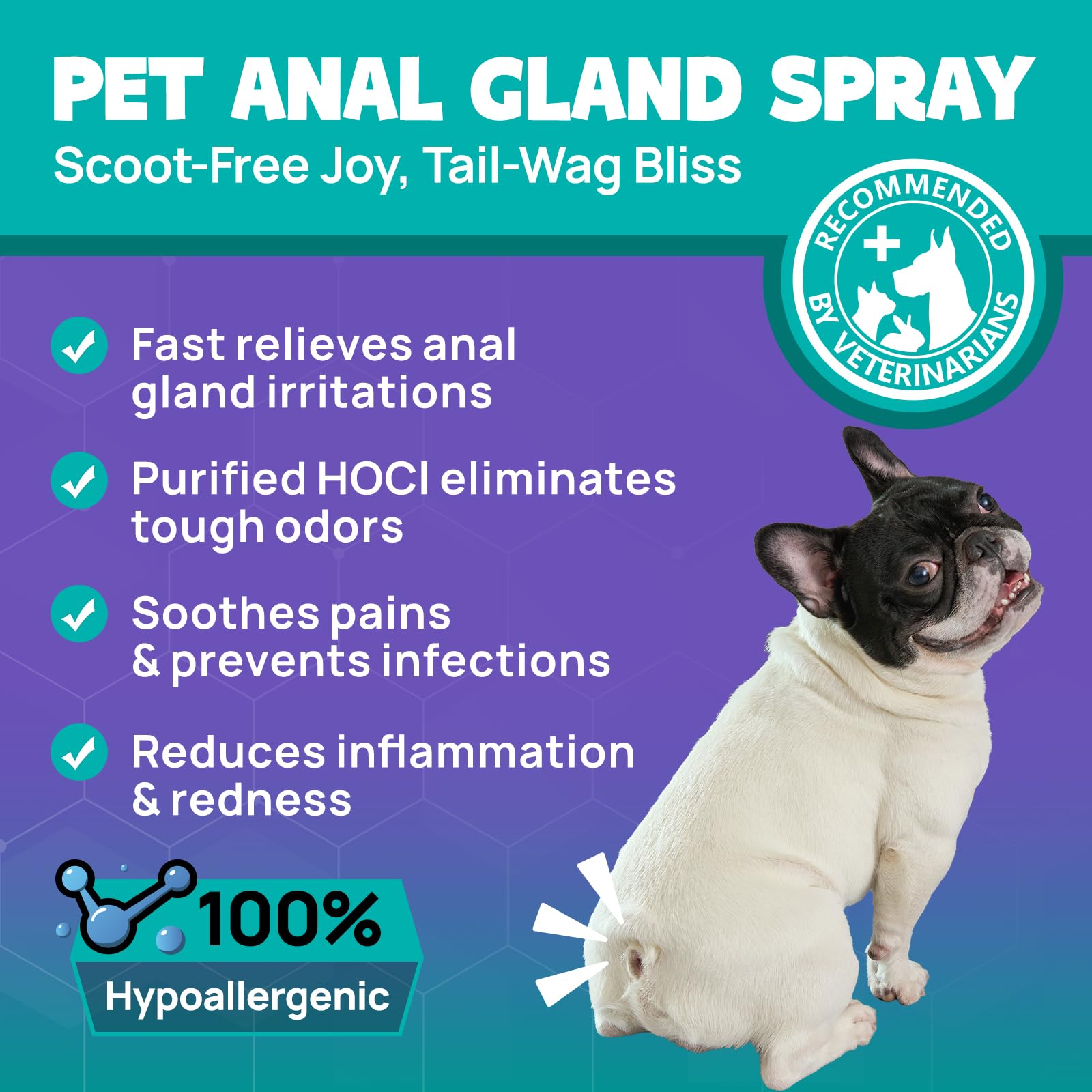 HICC PET Dog Anal Gland Spray - Fast Relieves Anal Gland Irritations and Soothes Itching, Stops Scooting, Eliminates Tough Odors, Pain Relieving & Anti-Itch, Safe for All Animals - 4 Fl Oz